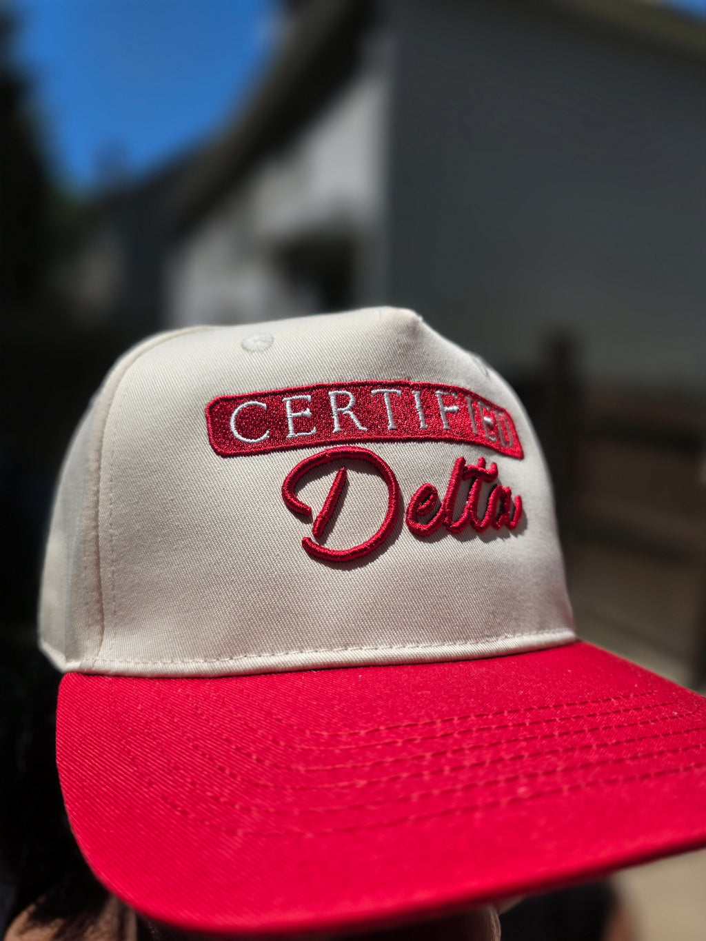Certified Delta 2 Tone Hat