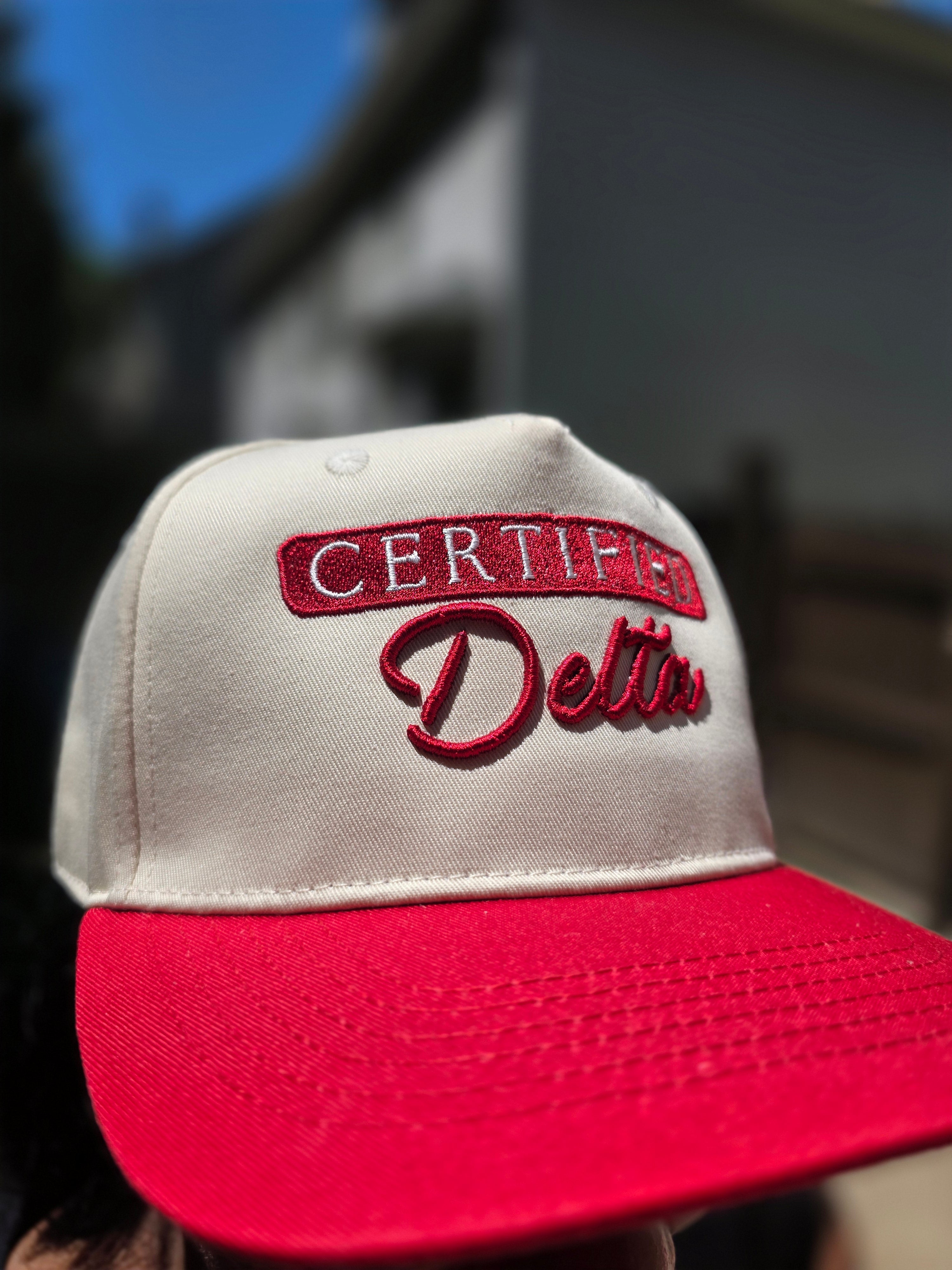 Certified Delta 2 Tone Hat