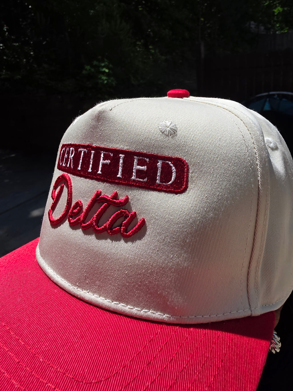 Certified Delta 2 Tone Hat