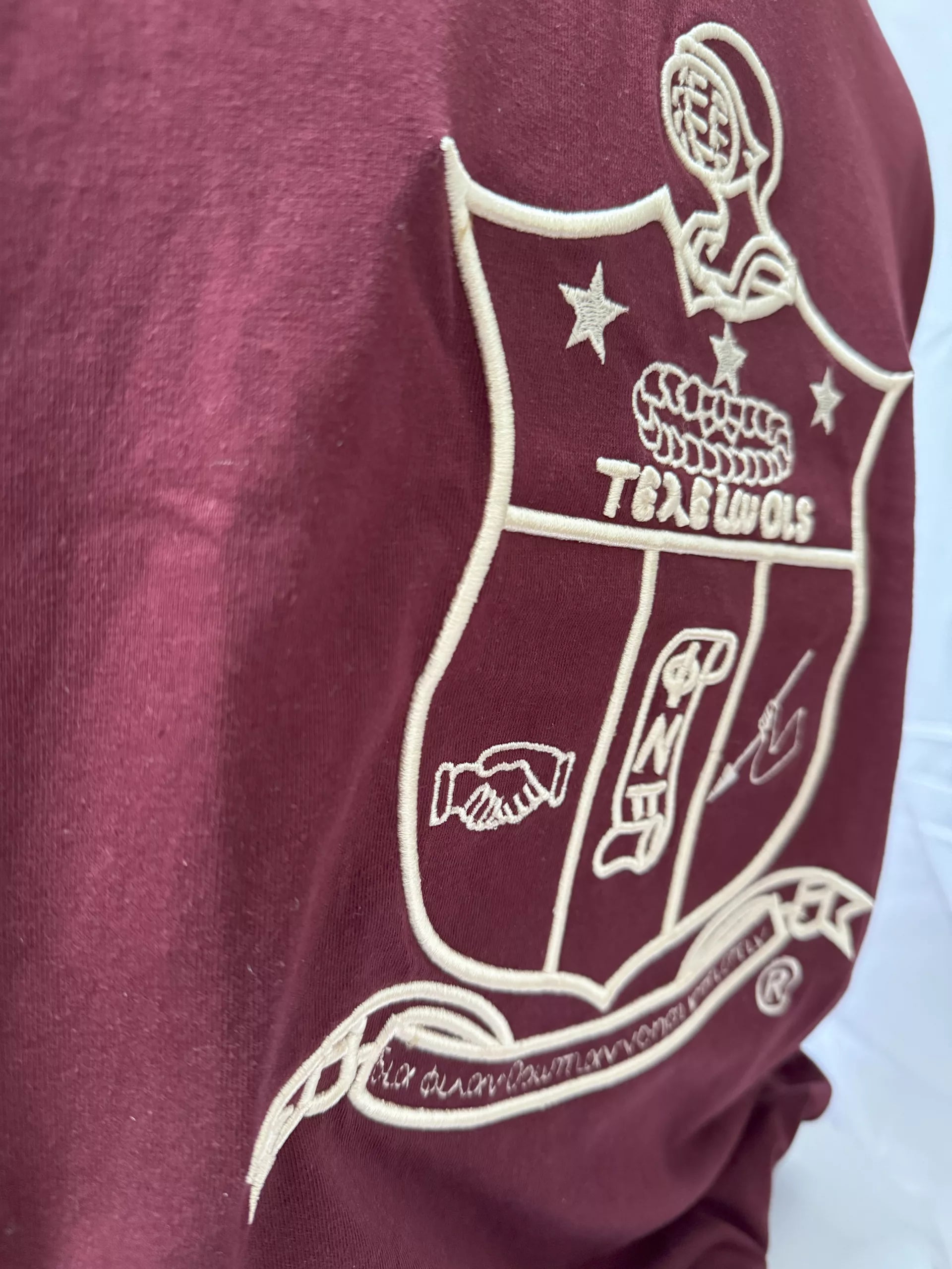 Kappa Alpha Psi Coat of Arms Ringer Tee image 3