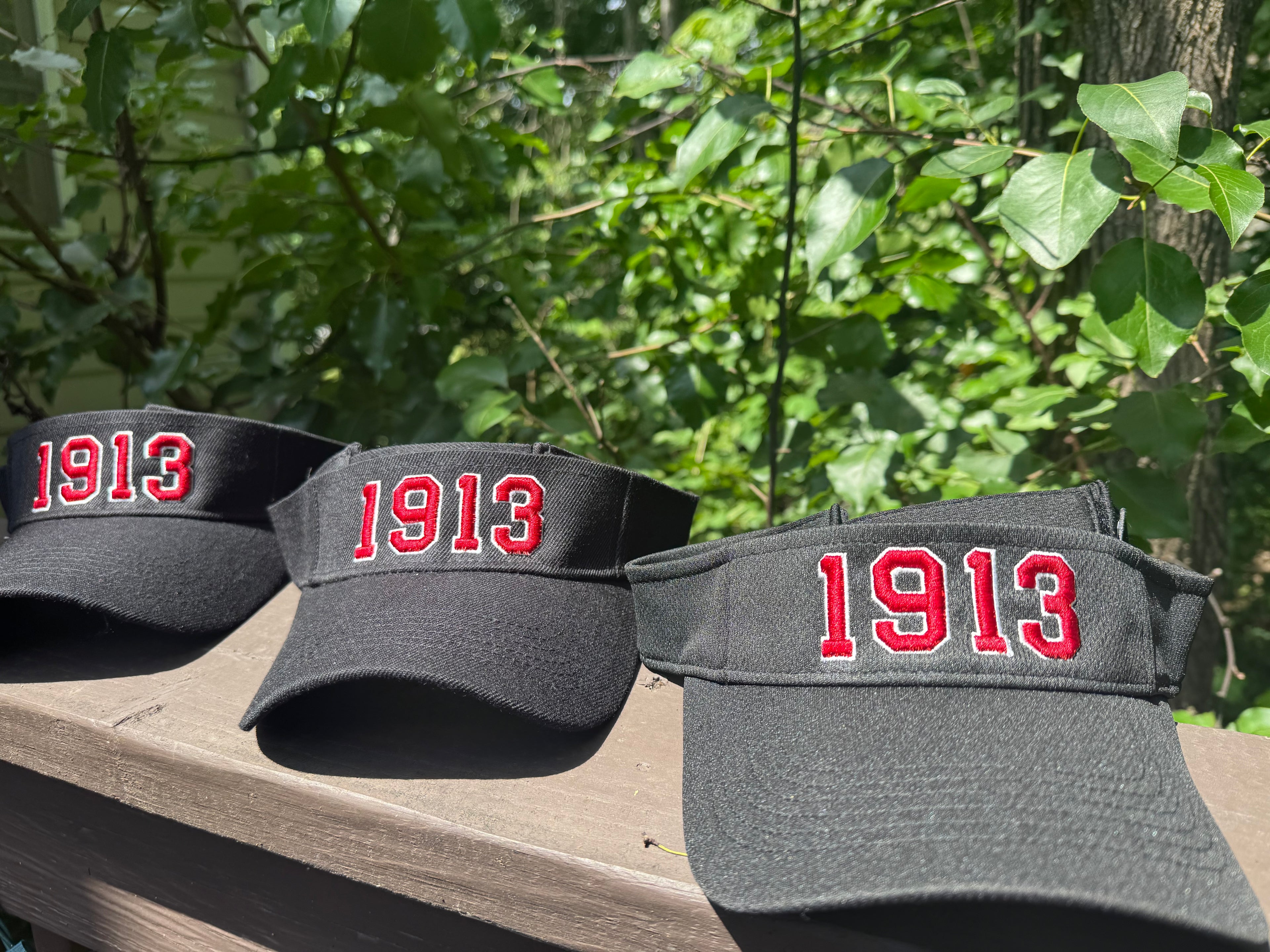 Delta Sigma Theta Black 1913 Embroidered Visor