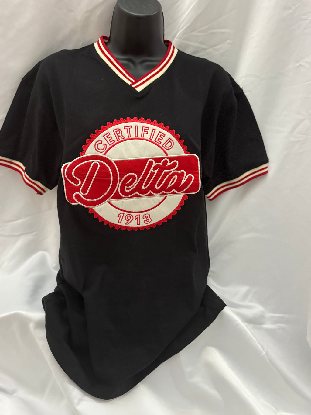 Delta Sigma Theta Certified Delta V-Neck Jersey