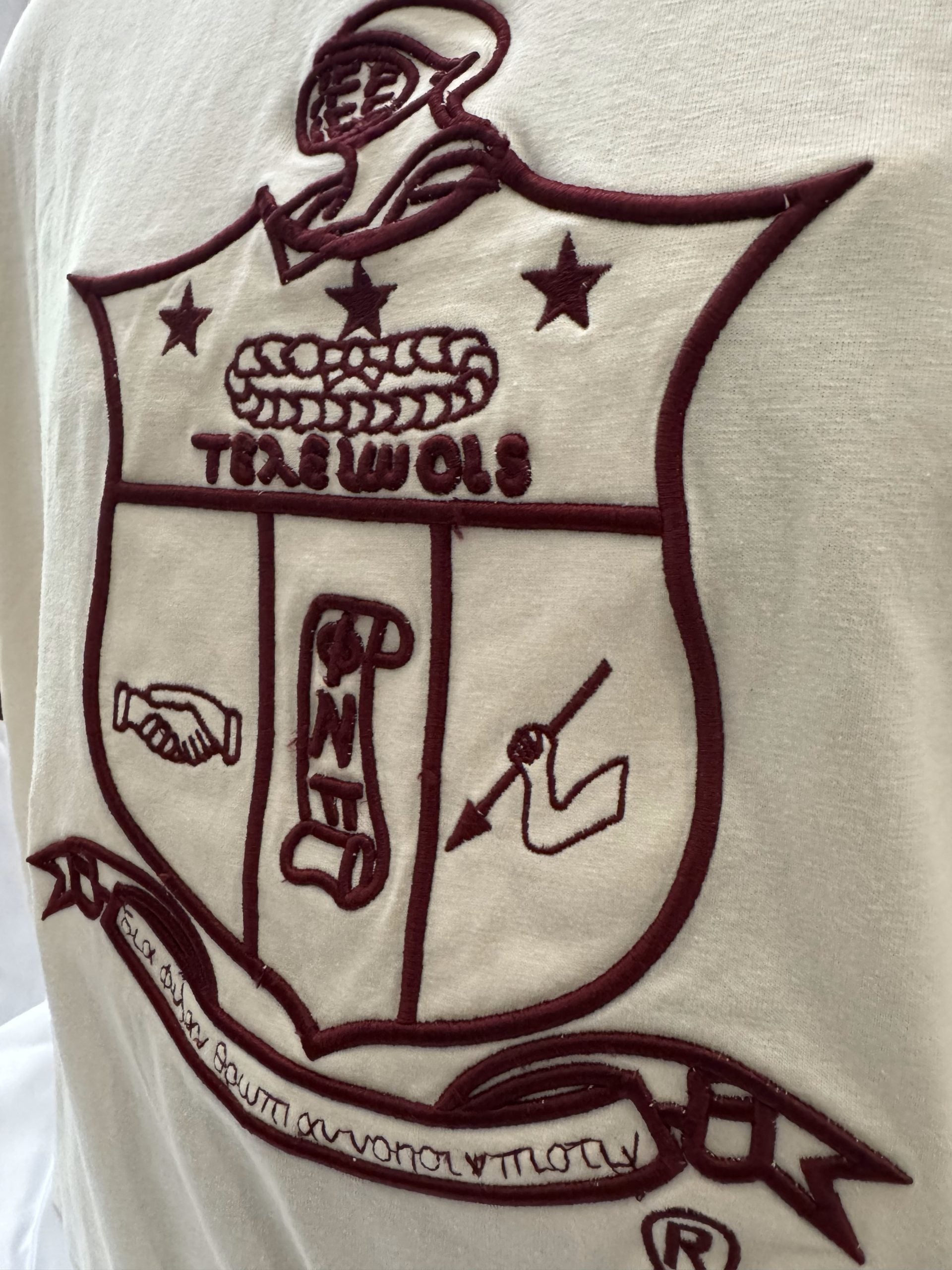 Kappa Alpha Psi Coat of Arms Ringer Tee image 1