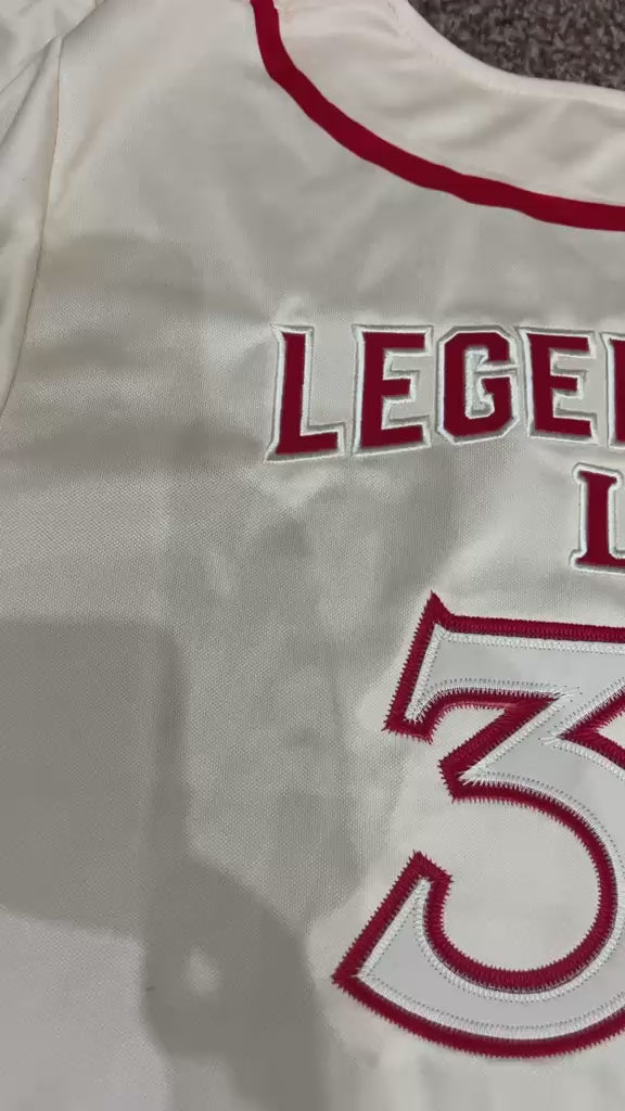 PREORDER Lambda Zeta Button Down Embroidered Baseball Jersey