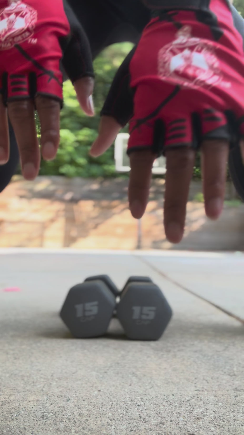 Delta Sigma Theta Workout Gloves