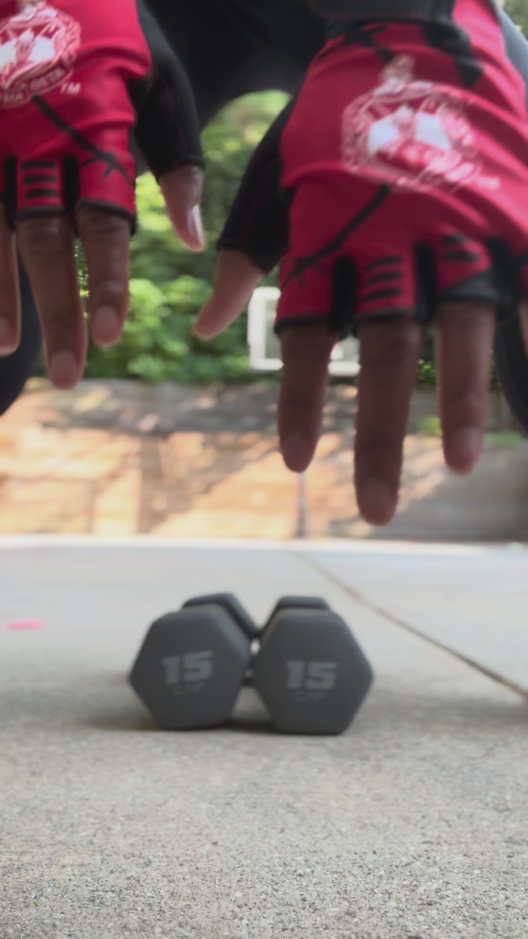 Delta Sigma Theta Workout Gloves