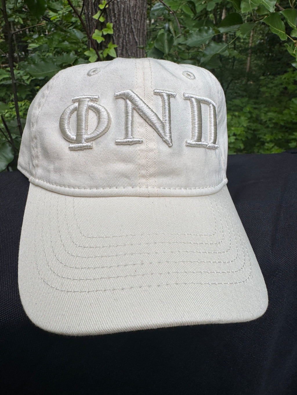 Phi Nu Pi Cream on Cream Dad Cap | Embroidered Hat