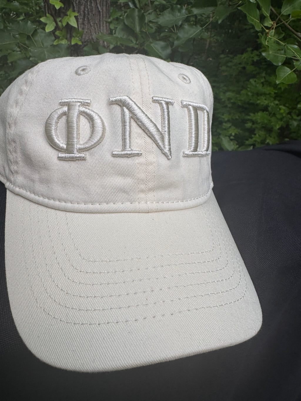 Phi Nu Pi Cream on Cream Dad Cap | Embroidered Hat